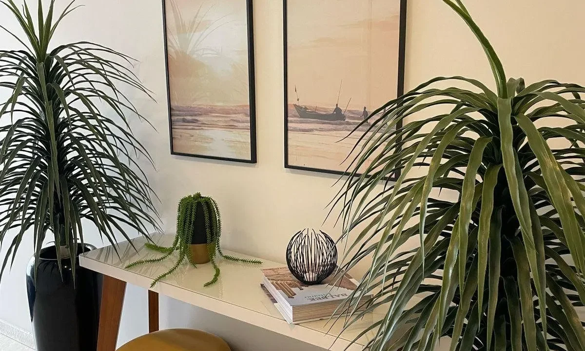 AP1932 - DOM JOSÉ (41)