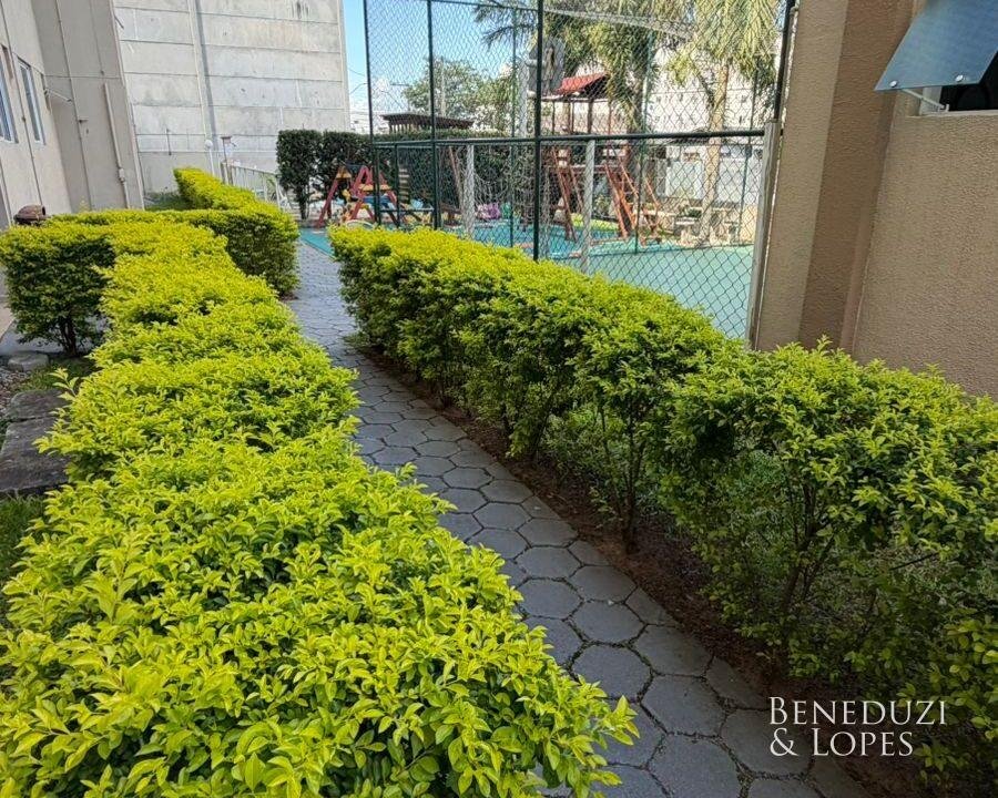 WhatsAppImage2026-03-03at09.49.10