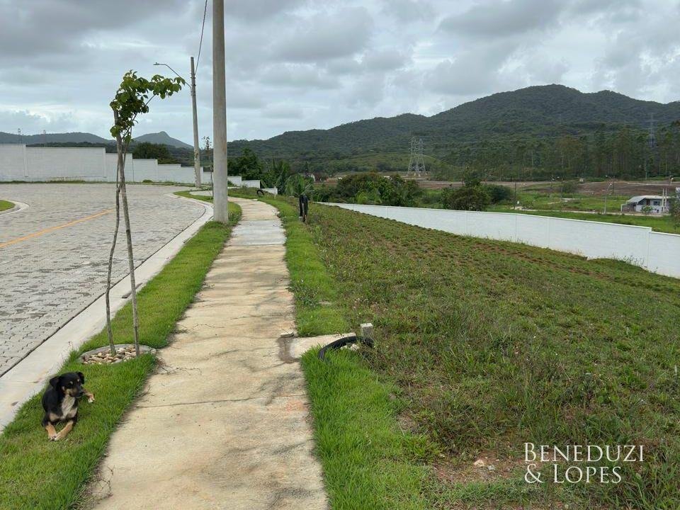 WhatsApp_Image_2025-06-03_at_17.01.38