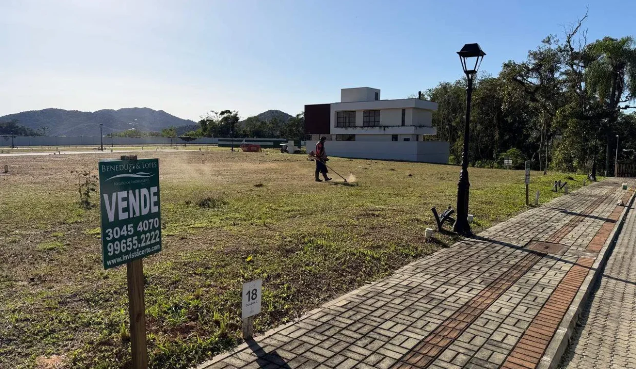 Lote 18C