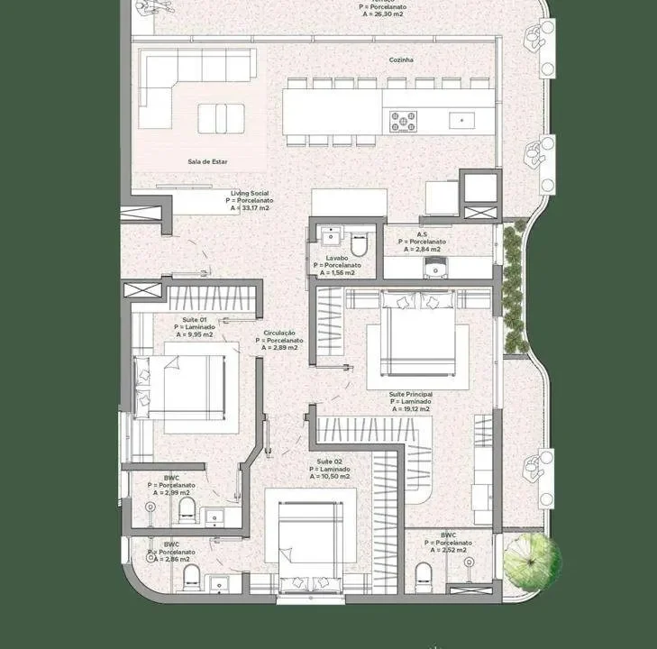 planta 1501